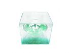 Jacomo Paradox Green (W) edt 100ml